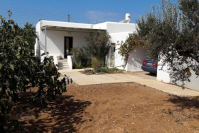 Gardenparadise Sifnaios in Paros